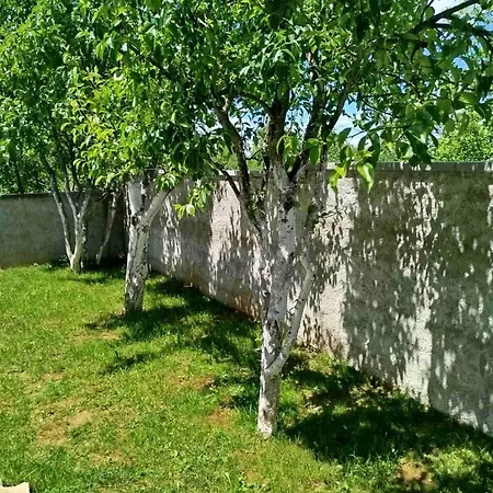 Kuca Za Odmor Noah *